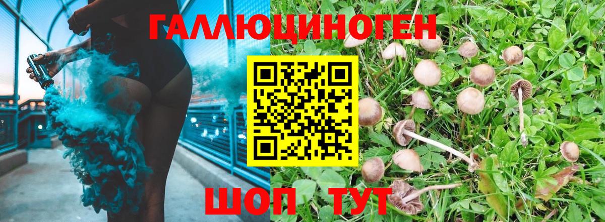Псилоцибиновые грибы Cubensis Ахтубинск