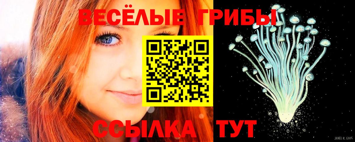 Галлюциногенные грибы мухоморы  Вход с VPN  Ахтубинск 
